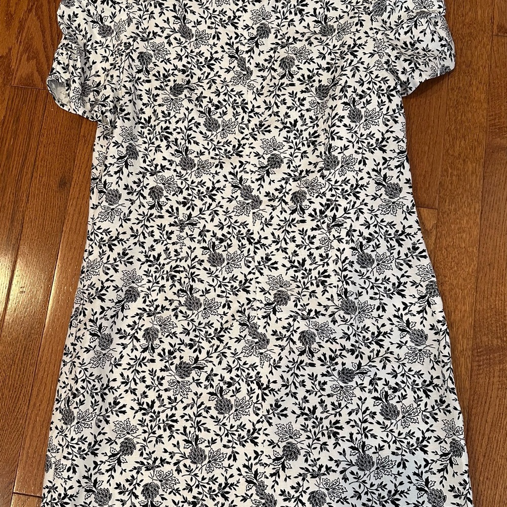 NWT Adorable LOFT Black and White dress | Size 8